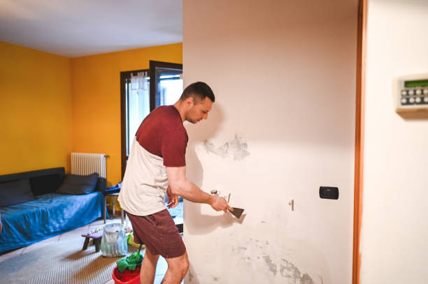 Best Attic Mold Remediation in Nashotah, WI